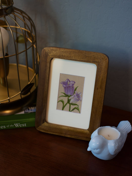 Original Bellflower Drawing