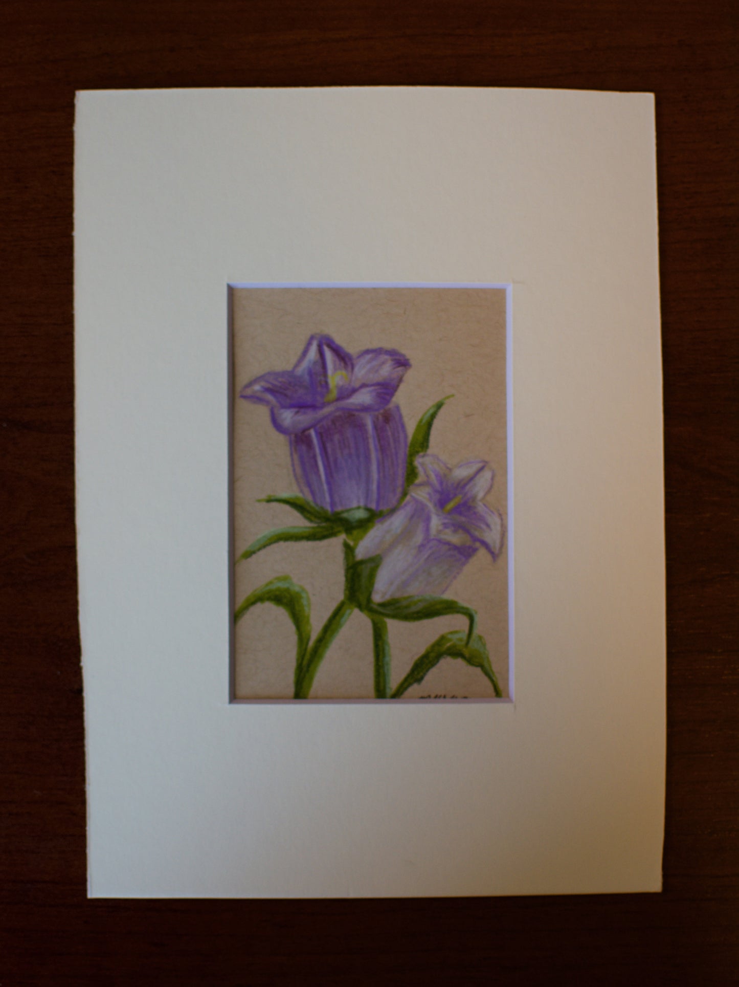 Original Bellflower Drawing