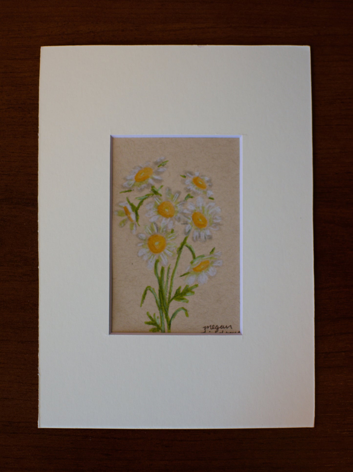 Original Chamomile Drawing