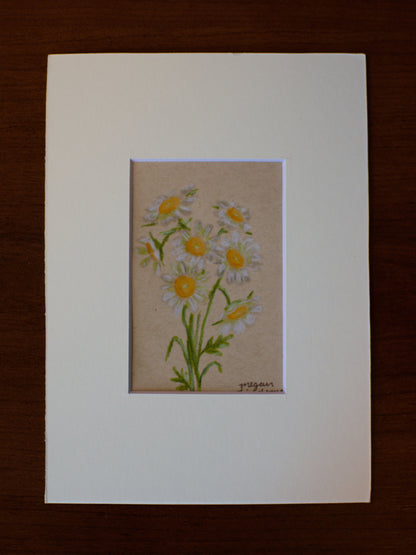 Original Chamomile Drawing