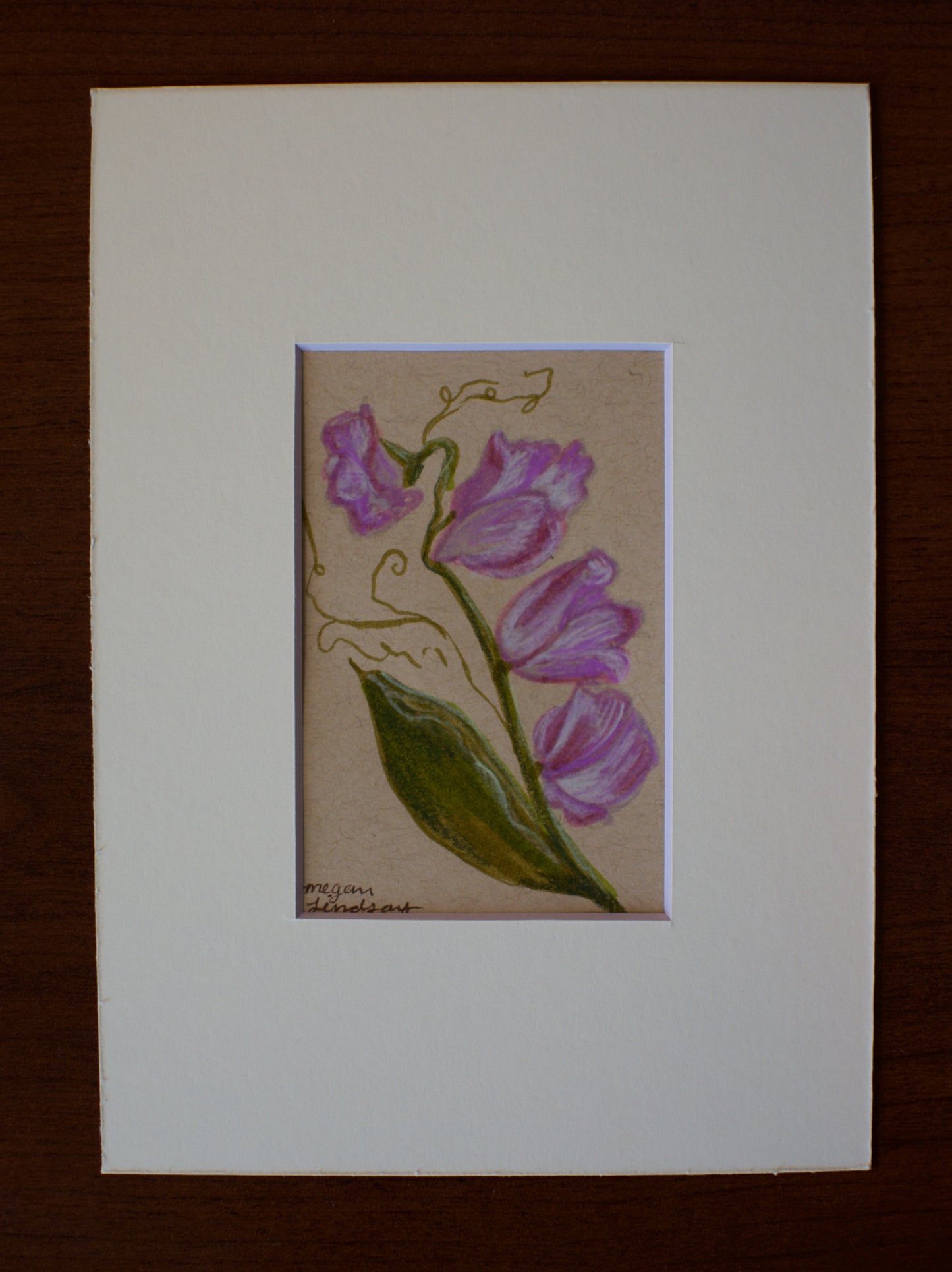 Original Sweet Pea Drawing