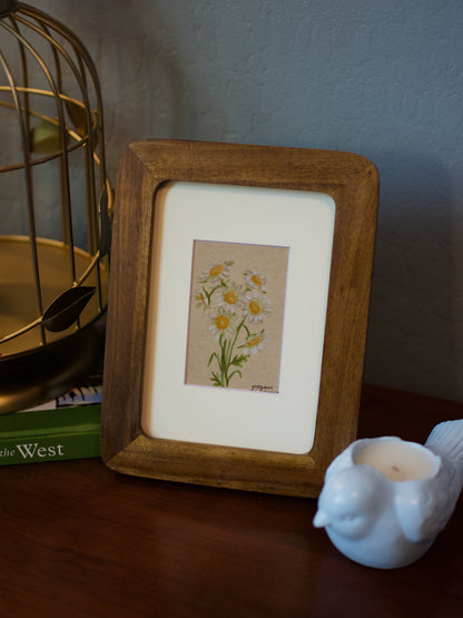 Original Chamomile Drawing