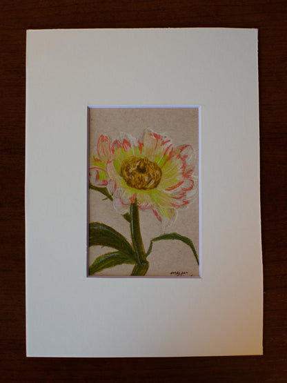 Original Peony Drawing