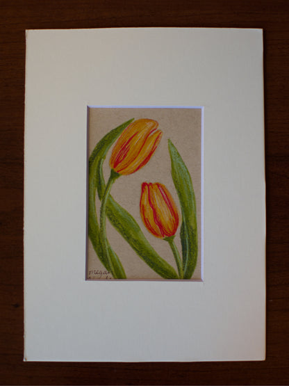 Original Tulip Drawing