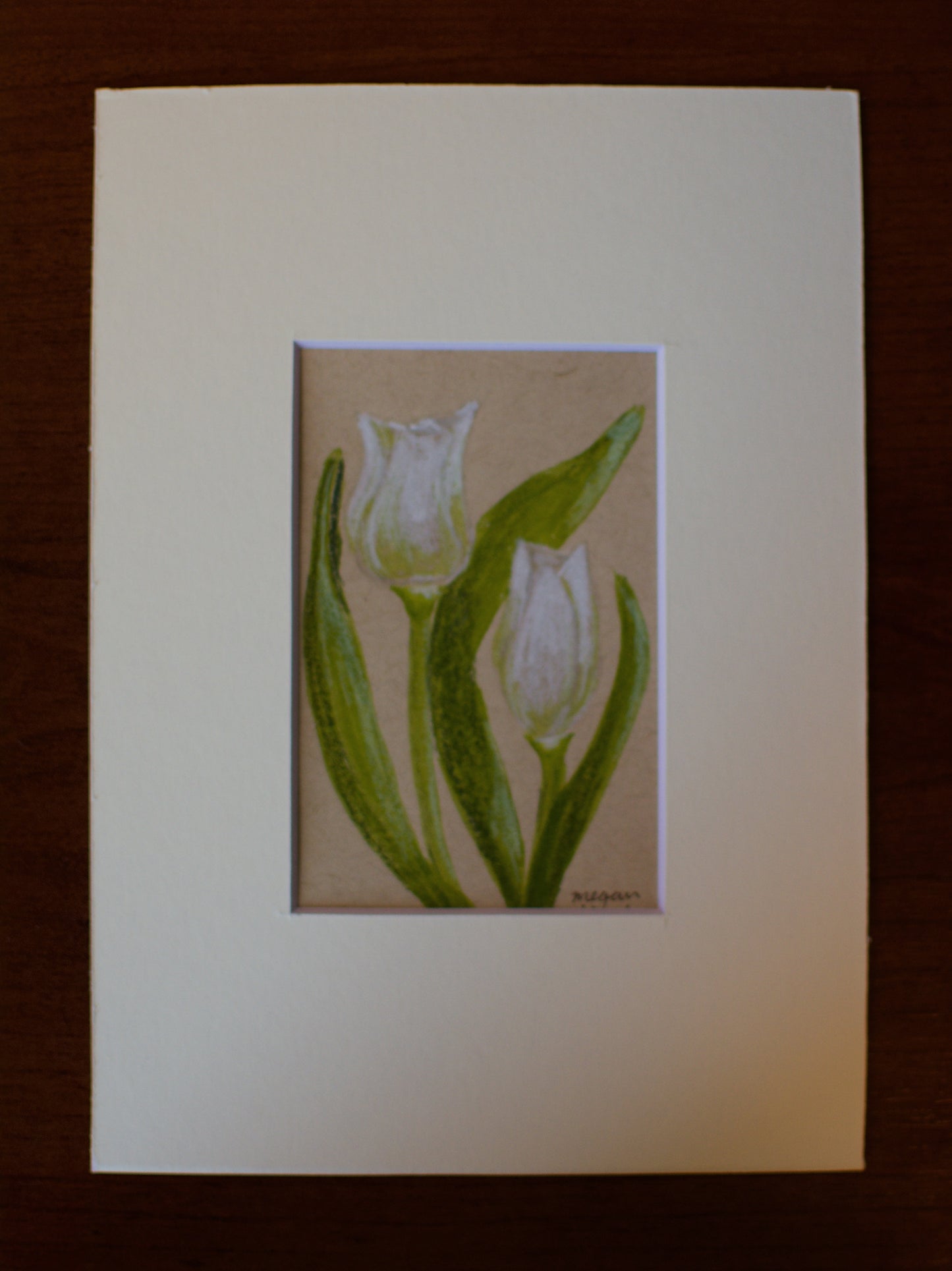 Original Tulip Drawing