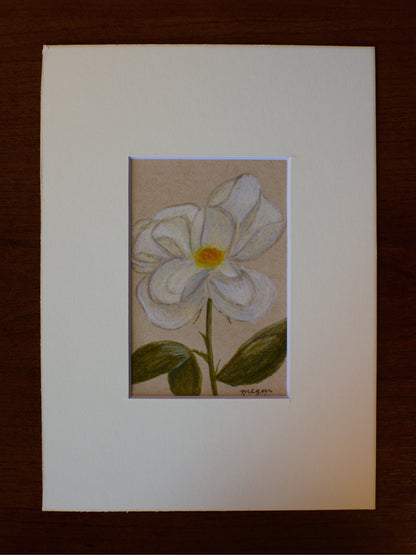 Original Rose Drawing