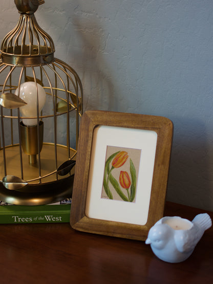 Original Tulip Drawing