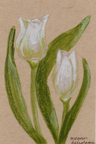 Original Tulip Drawing