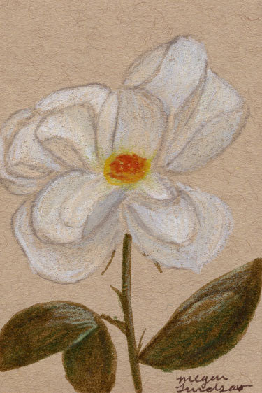 Original Rose Drawing