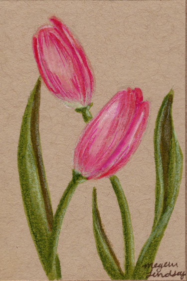 Original Tulip Drawing