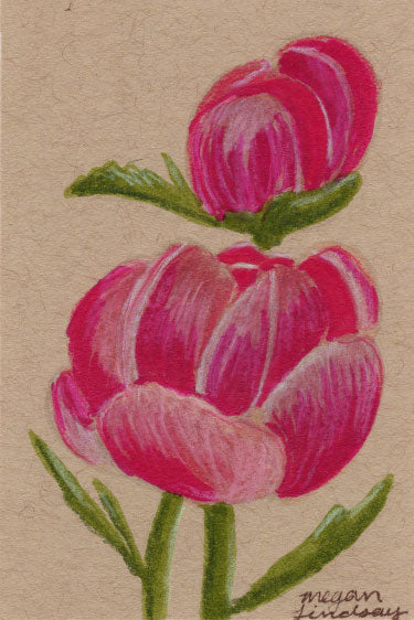 Original Peony Drawing