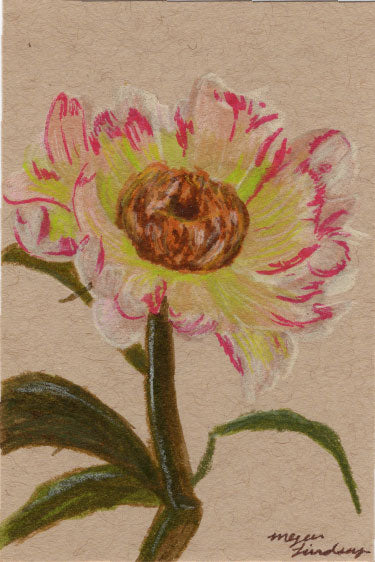 Original Peony Drawing