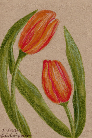 Original Tulip Drawing
