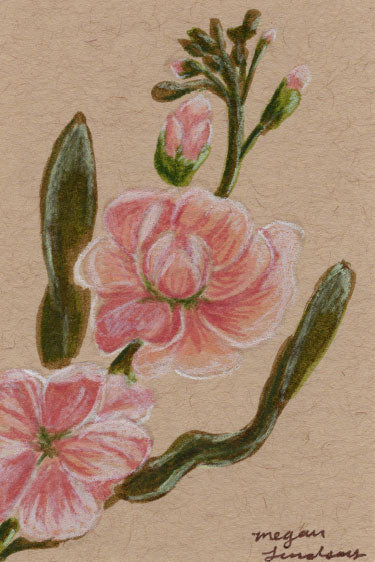 Original Stock Drawing