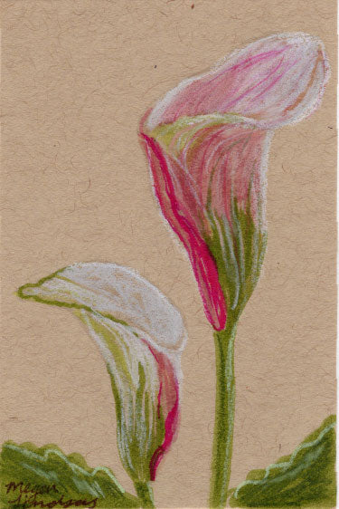 Original Calla Lily Drawing